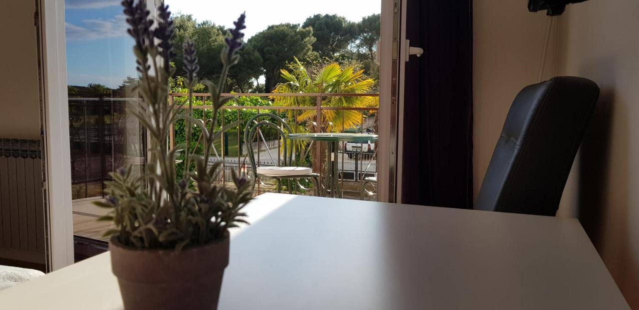 Villa Salvia Rooms And Apartments Rovinj Eksteriør bilde
